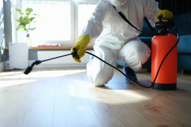 Best Pest Control Near Me in Rosamond, CA